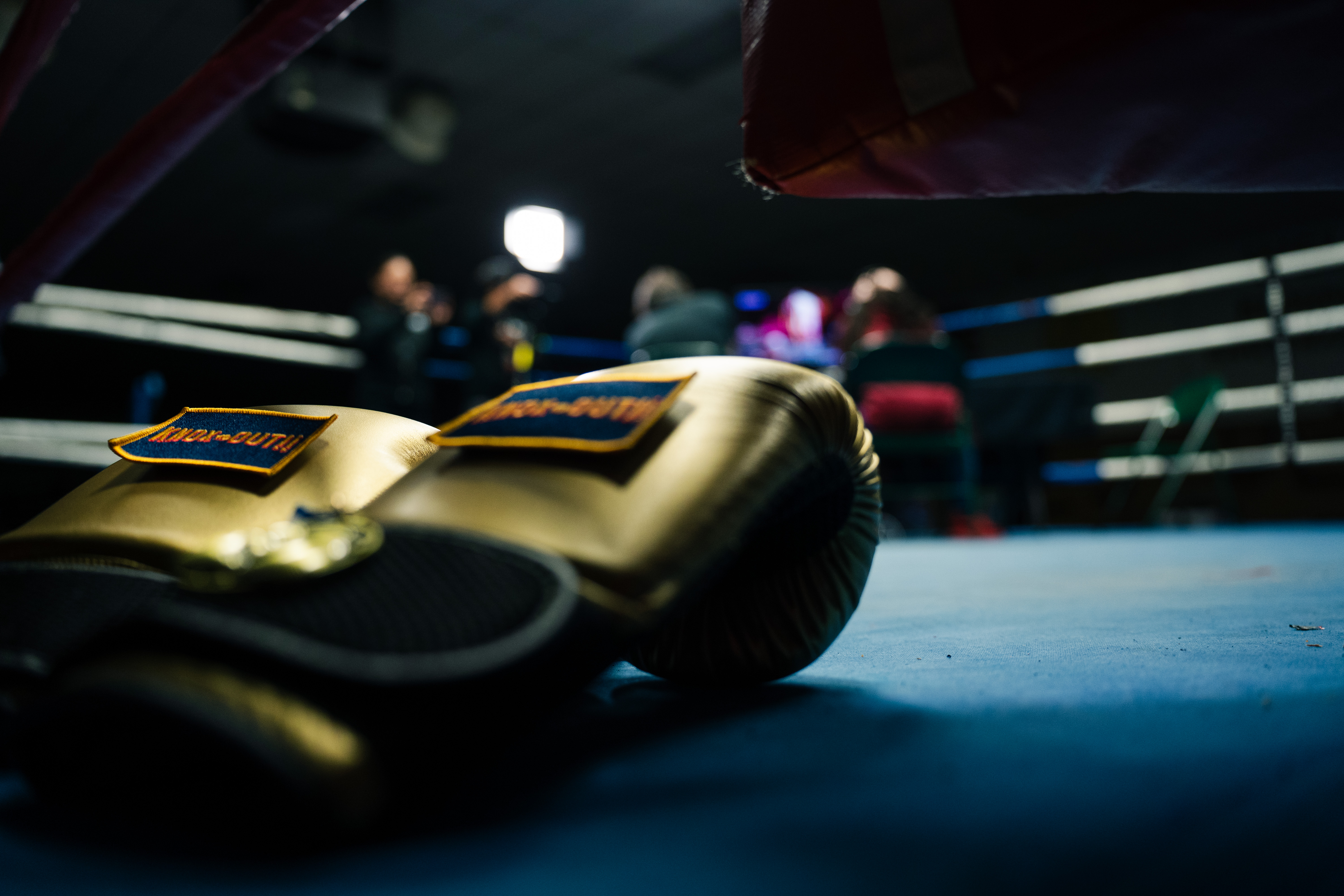 A pair of 'Golden' Boxing gloves - a prize awarded to 1st place players.